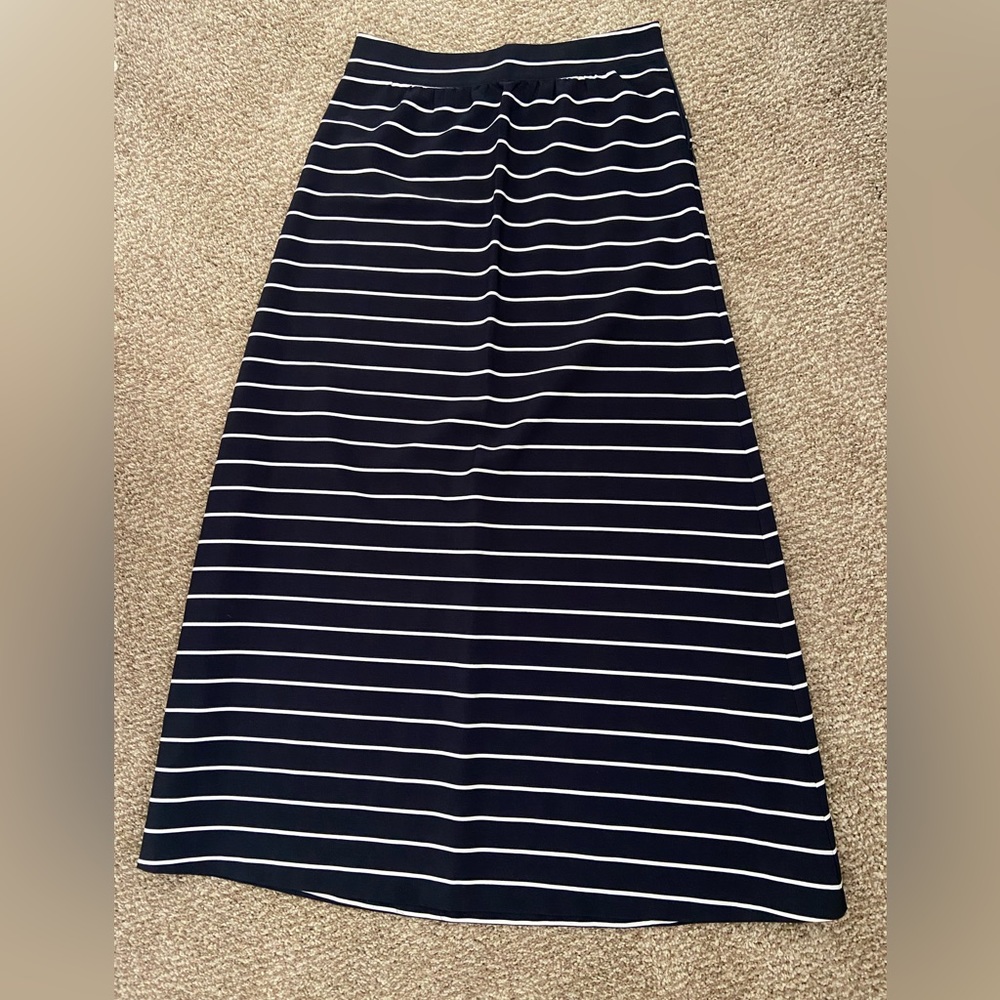 The Limited - Maxi Skirt